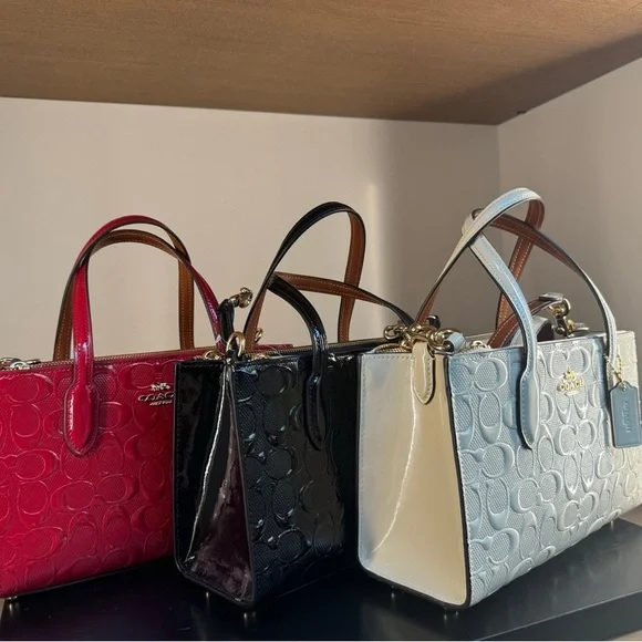 NWT Coach Nina Small Tote Bag In Signature Leather CT854